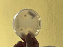 18 - 24 NOV. 2024 WORLD ANTIMICROBIAL RESISTANCE AWARENESS